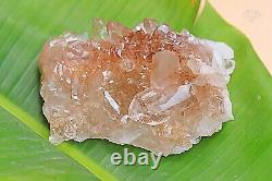 Pink Samadhi Quartz Healing Cluster Rough Pointed Pencil 274 Crystals Quartz