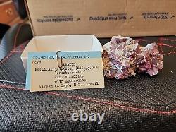 Pink Tourmaline Crystal Cluster Natural Brazil Franklin Mineral Museum Piece