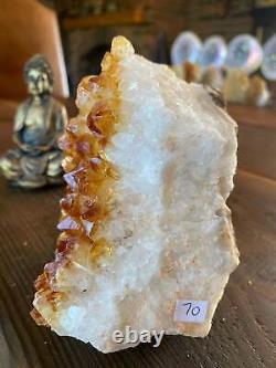 Premium High Grade Citrine Druzy 70 Mini Geode Cluster Piece 1.117g H12xW11xD9cm