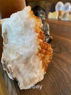 Premium High Grade Citrine Druzy 70 Mini Geode Cluster Piece 1.117g H12xW11xD9cm