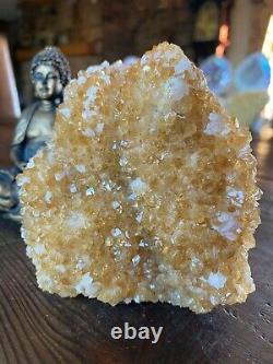 Premium High Grade Citrine Druzy 83 Mini Geode Cluster Piece 604g H10xW10xD6.5cm