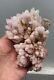 Quartzs Pink Unusual Fan-shaped Growths Crystals On Matrix-perÚ. Master Piece