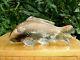 Quartz Crystal Carved Fish Beauitful, Collector Piece -new Price