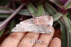 Quartz Fish Shaped Crystal Quartz Crystal Fish Clear Quartz Polished Quartz Fish