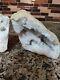 Quartz And Agate Crystal Geode Whole Cut Display Stone White Color