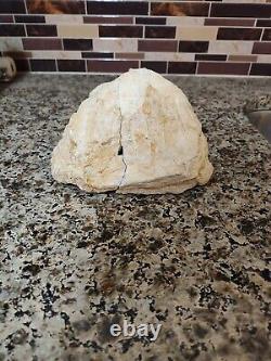 Quartz and Agate Crystal Geode Whole Cut Display Stone White Color