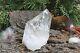 Rare Natural Clear White Quartz Crystal Cluster Mineral Stone Specimen 396gm