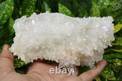 RARE! Pointe Manikaran White Quartz Rocks Healing Rough Stone 433 gm Specimens