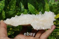 RARE! Pointe Manikaran White Quartz Rocks Healing Rough Stone 433 gm Specimens