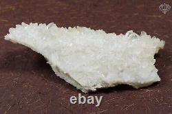 RARE! Pointe Manikaran White Quartz Rocks Healing Rough Stone 433 gm Specimens