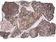 Rare Quartz Pink 12 Pieces 2 Lb Minerals Specimen Flat From Morocco