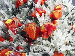 REALGARS CRIMSON RED COLOR on QUARTZS CRYSTALS BED from PERU. MUSEUM PIECE