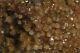 Red- Quartz- Crystal- Hematite- Cluster- Orange River South Africa Rare Piece