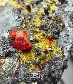 RED REALGAR, ORPIMENT BOTRYOIDAL CRYSTALS & QUARTZS from PERU MUSEUM PIECE