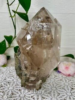 Rare Himalayan Quartz Point + Chlorite, Natural Samadhi Quartz Statement Piece
