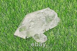 Rare Pieces Green Chlorite Clear Quartz 414gm Raw Healing Meditation Home Décor