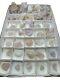 Raw 35 Piece Wholesale Flat Of Pink Chalcedony From New Mexico Mineral Specimens