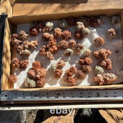 Red ARAGONITE Crystals Cluster 100 Piece Lot Morocco 1 1.5