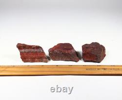 Red Tiger's Eye Rough Rocks for Tumbling Bulk Wholesale options Red Tiger's Eye Rough Rocks for Tumbling Bulk Wholesale options