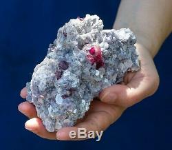 Rubellite in Lepidolite Museum piece