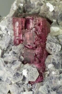 Rubellite in Lepidolite Museum piece