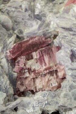 Rubellite in Lepidolite Museum piece