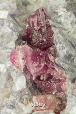 Rubellite in Lepidolite Museum piece