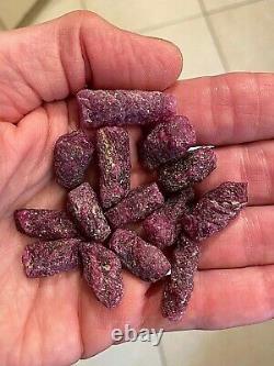 Ruby Crystal Gemstone Natural Raw Lot of Fourteen Piece Specimens 777