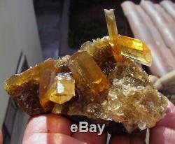 SELENITE GOLDEN CRYSTALS and CUBIC HALITES on MATRIX from PERU. WONDERFUL PIECE