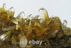 SELENITE TWIN GOLDEN CRYSTALS scattered on MATRIX from PERU. MASTER PIECE