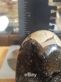 SEPTARIAN GEODE EGG. HEAVY. STUNNING PIECE 1.2kg