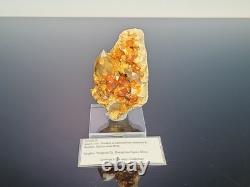 STATUESQUE Quartz W Spessartine (Small Cabinet) Tongbei, China