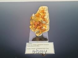 STATUESQUE Quartz W Spessartine (Small Cabinet) Tongbei, China