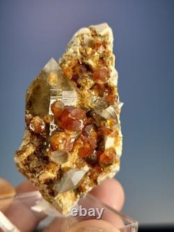 STATUESQUE Quartz W Spessartine (Small Cabinet) Tongbei, China