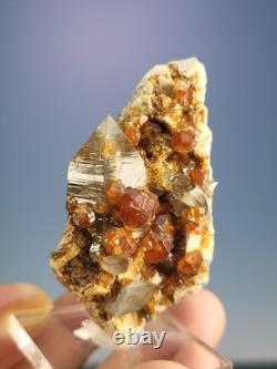 STATUESQUE Quartz W Spessartine (Small Cabinet) Tongbei, China