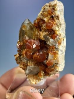 STATUESQUE Quartz W Spessartine (Small Cabinet) Tongbei, China