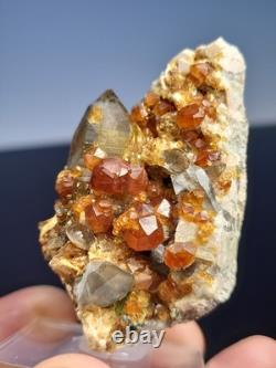 STATUESQUE Quartz W Spessartine (Small Cabinet) Tongbei, China