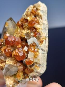 STATUESQUE Quartz W Spessartine (Small Cabinet) Tongbei, China