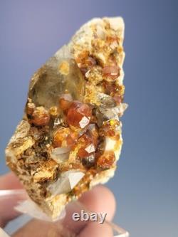 STATUESQUE Quartz W Spessartine (Small Cabinet) Tongbei, China