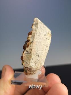 STATUESQUE Quartz W Spessartine (Small Cabinet) Tongbei, China