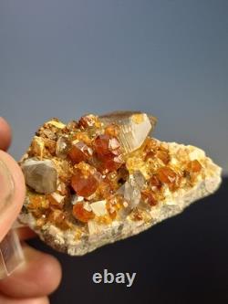 STATUESQUE Quartz W Spessartine (Small Cabinet) Tongbei, China