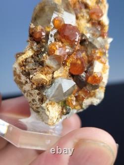 STATUESQUE Quartz W Spessartine (Small Cabinet) Tongbei, China