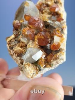 STATUESQUE Quartz W Spessartine (Small Cabinet) Tongbei, China