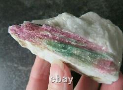 STUNNING RARE WATERMELON TOURMALINE (98.0 grams / 79 mm) NATURAL PIECE (3)