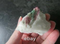 STUNNING RARE WATERMELON TOURMALINE (98.0 grams / 79 mm) NATURAL PIECE (3)