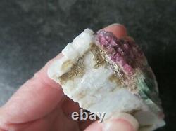 STUNNING RARE WATERMELON TOURMALINE (98.0 grams / 79 mm) NATURAL PIECE (3)