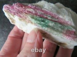 STUNNING RARE WATERMELON TOURMALINE (98.0 grams / 79 mm) NATURAL PIECE (3)