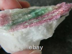 STUNNING RARE WATERMELON TOURMALINE (98.0 grams / 79 mm) NATURAL PIECE (3)