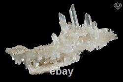 Samadhi Quartz Crystal Family Cluster 198 Grams Natural Synergy Mineral Specimen