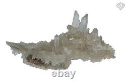 Samadhi Quartz Crystal Family Cluster 198 Grams Natural Synergy Mineral Specimen